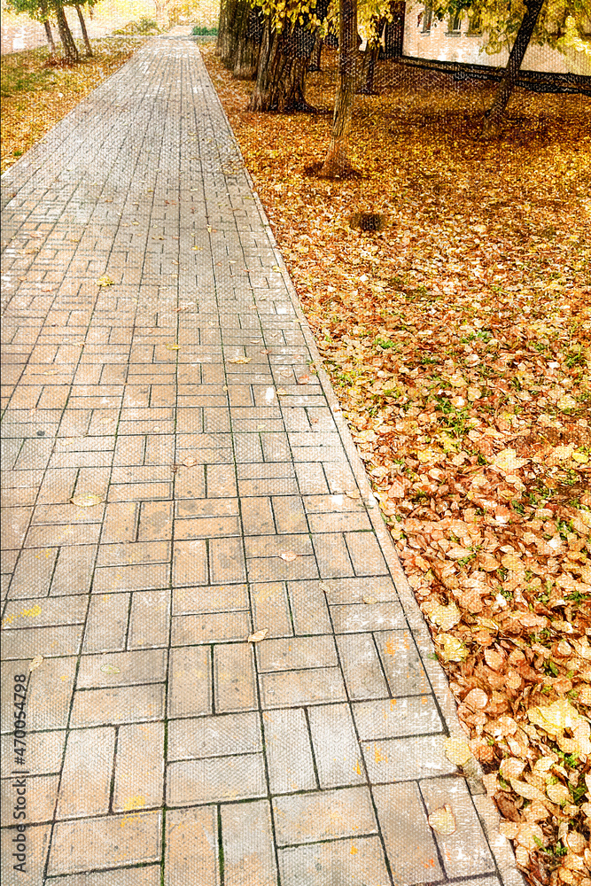 An empty path in an autumn park. Gray walkway cut through orange fallen leaves.
