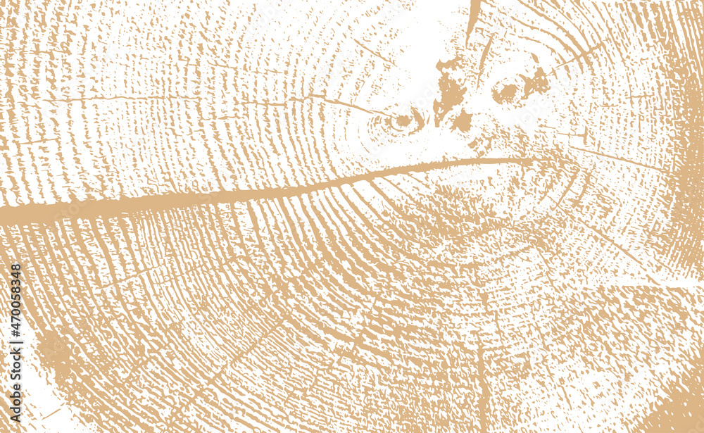 circular wood grain texture vector illustration background