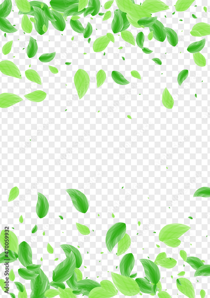 Light Green Greenery Background Transparent Vector. Leaf Flavor Design. Beauty Texture. Green Delicate Frame. Leaves Air. Light Green Greenery Background Transparent Vector. Leaf Flavor Design. Beauty Texture. Green Delicate Frame. Leaves Air.