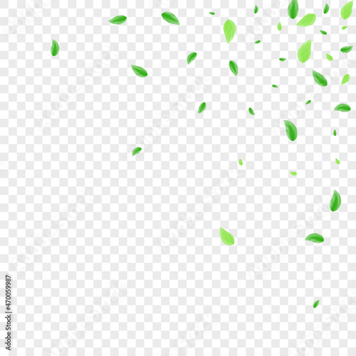 Greenish Greenery Background Transparent Vector. Foliage Creative Texture. Template Design. Green Rustic Frame. Leaves Flora.