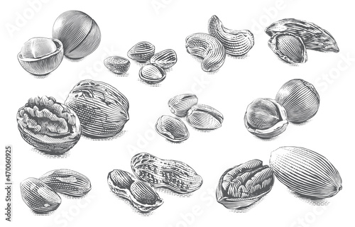 nut set collection Hand drawing sketch engraving illustration style