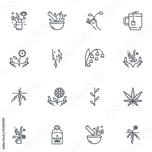 Herbal medicine conceptual signs. Plants and flowers.