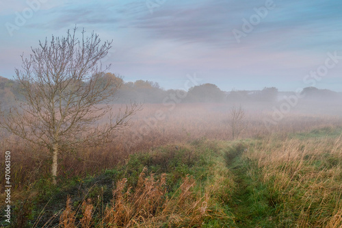 Small walking path on the right in a field leads into fog . Soft pastel cloudy sky. Stunning nature landscape. Calm and peaceful atmosphere. Nobody. Warm colors. Sunrise hour. Beautiful nature.