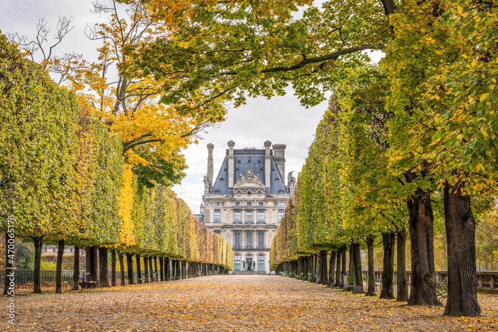 Louvre Museum and Jardin des Tuileries (Tuileries Garden) in autumn season, Paris, France