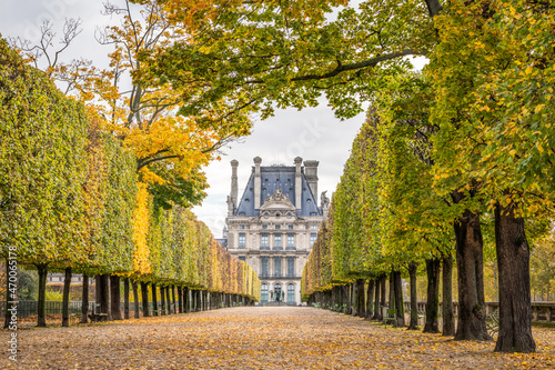 Stampa su tela Louvre Museum and Jardin des Tuileries (Tuileries Garden) in autumn season, Pari