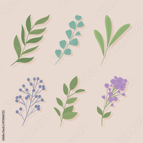 leaves, branches and flowers