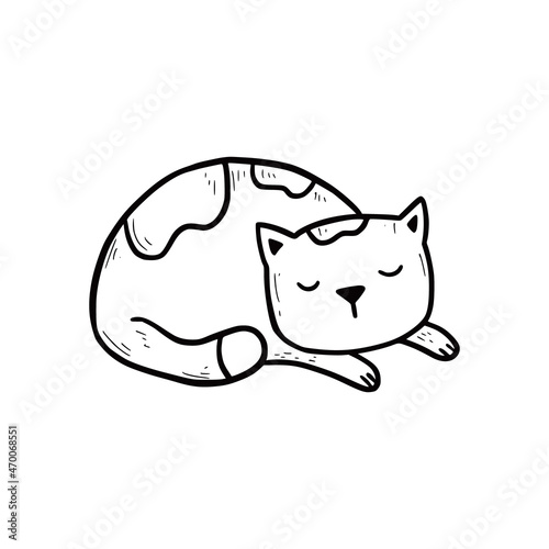 Hand drawn sleep cute cat. Doodle sketch style. Concept of relax time animal pet. Isolated vector illustration.