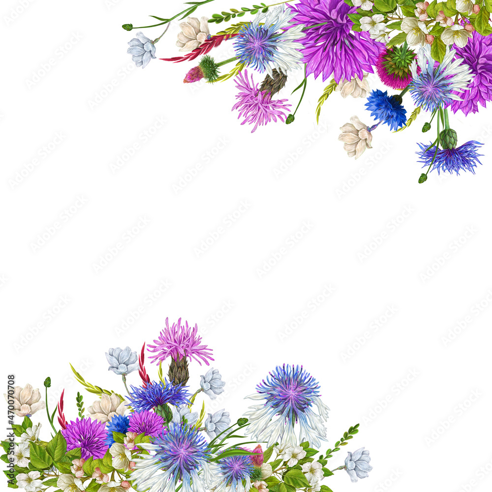  wildflowers cornflowers design for greeting card illustration on isolated white background