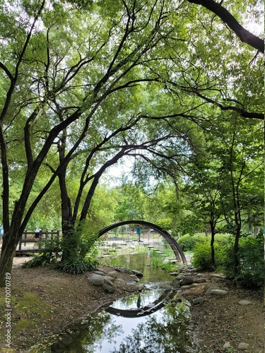 Photography Korea Seoul, A small lake in Seoul Forest Park