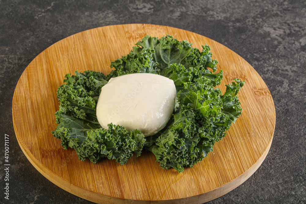 Soft mozzarella cheese over board Soft mozzarella cheese over board
