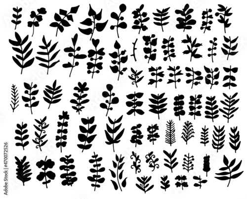 a set of plant icons. vector set of isolated elements made of branches with leaves, hand-drawn in the style of doodles. leaves, different shapes, black outline of leaves on a white background for a de