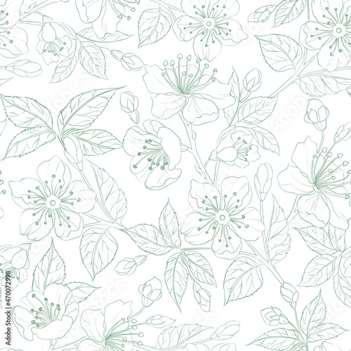Wallpaper Mural Sakura seamless pattern on white background. Torontodigital.ca