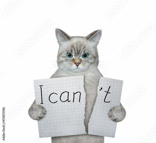 An ashen cat tears a sheet of paper with the lettering I can't. White background. Isolated.