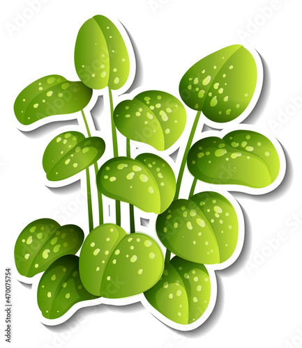 Tropical leaves brush sticker on white background