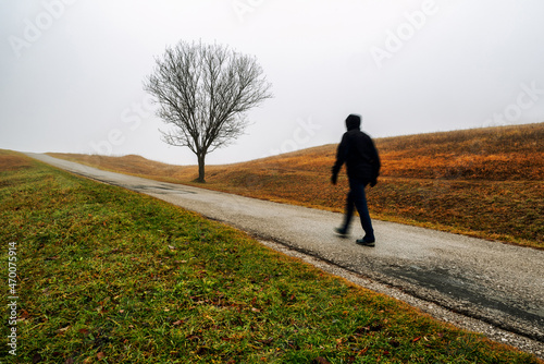 Lonely person walking near leafless trees in foggy country