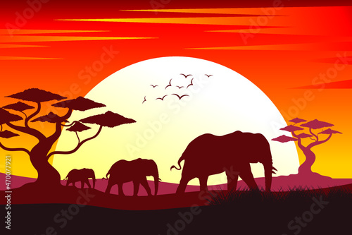 Elephant silhouette. Silhouette of sunset in safari landscape © Edy