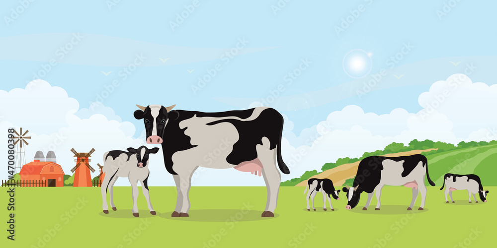 Holstein cow and calves in the meadow. Holstein cow and calves in the meadow.