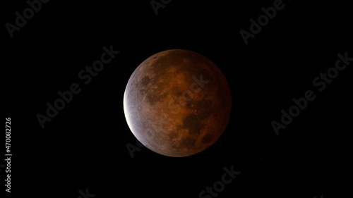Fototapeta Naklejka Na Ścianę i Meble -  November 19, 2021 Lunar Eclipse