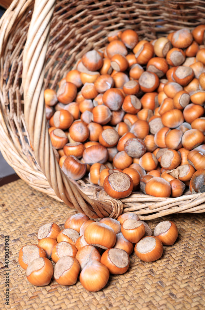 Hazelnuts in a wicker basket close-up Hazelnuts in a wicker basket close-up