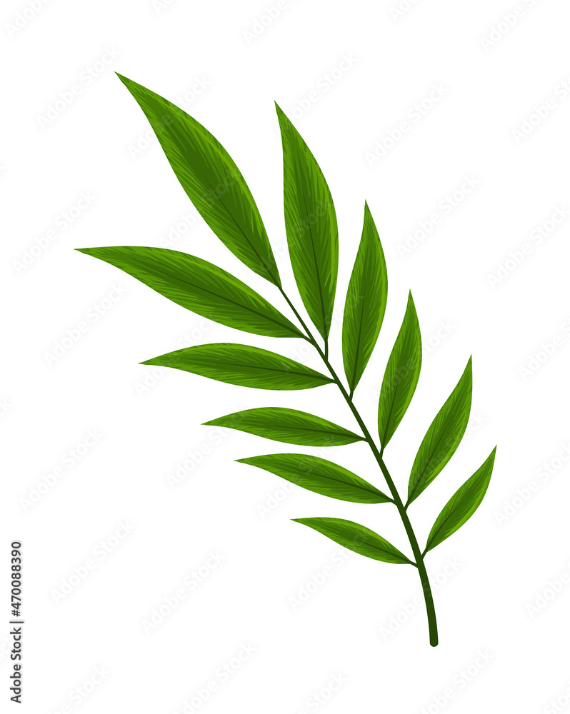 Fototapeta premium natural branch leaves