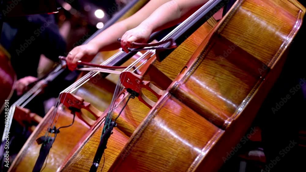 Cellists play cellos during a classical concert.