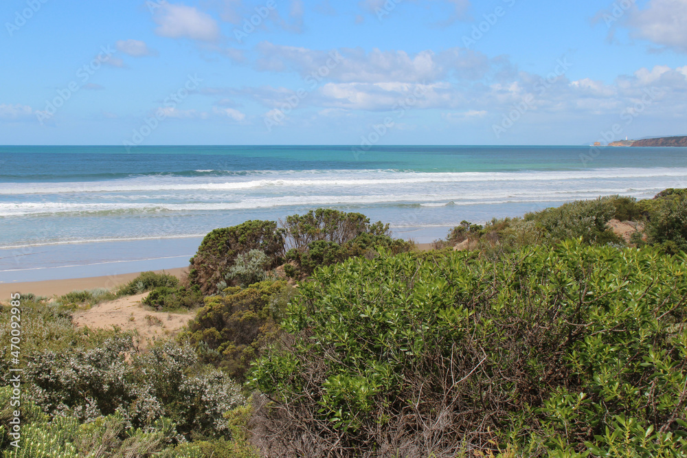 along the great ocean road in australia 