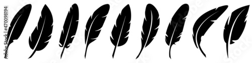 Vector Feathers Set. Elements for design isolated on white.