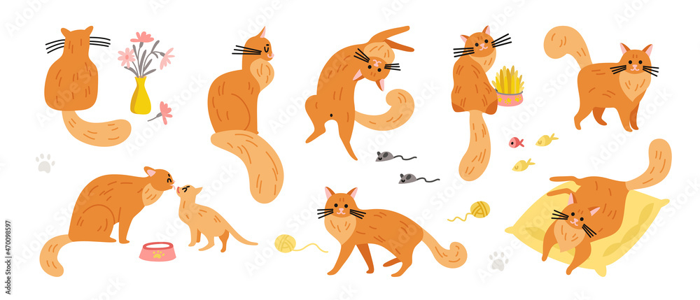 Ginger Cats Icons Collection