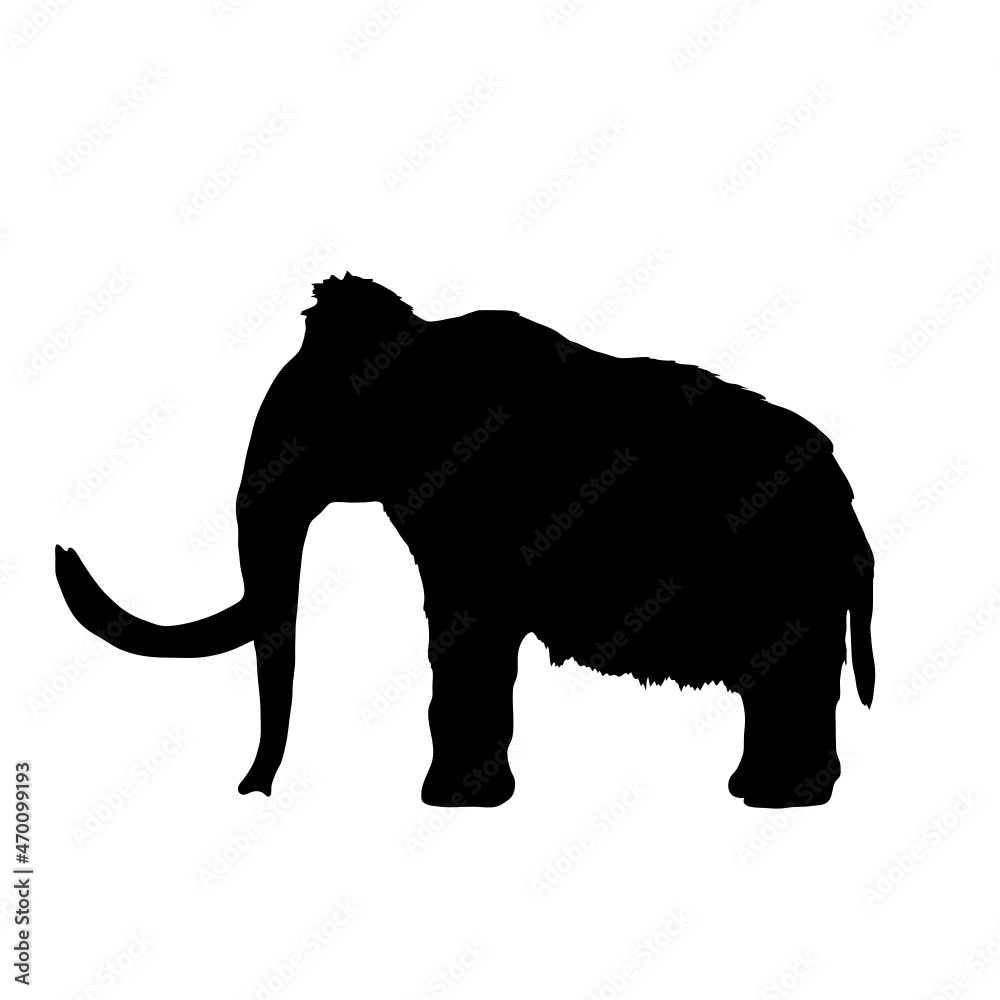 Obraz premium Dinosaur silhouette