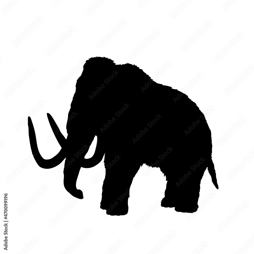 Obraz premium Dinosaur silhouette