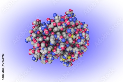 Space-filling molecular model of human cathepsin D in complex with macrocyclic inhibitor 14. Rendering based on protein data bank. Scientific background. 3d illustration