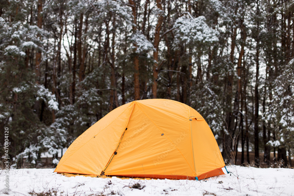 Yellow tourist tent in the winter pine forest, Hike in the forest with the first snow.
