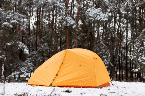 Yellow tourist tent in the winter pine forest  Hike in the forest with the first snow.
