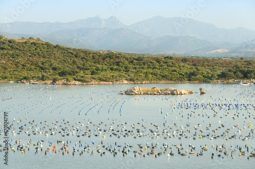 Views of the coast of the sea bay with many floats on the water surface for fishing or growing seafood