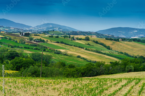 Fototapeta Naklejka Na Ścianę i Meble -  Rural landscape along the road from Fano to Mondavio, Marche