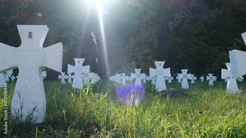 Cemetery with crosses for soldiers of the World War of the Ukrainian Division of Galicia photo