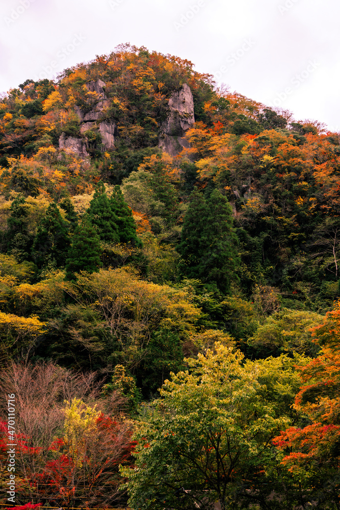 紅葉の深耶馬渓