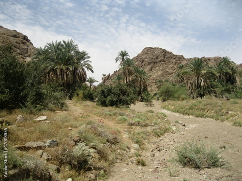 path in the desert