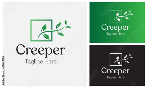 Creeper Logo Design Template. Twisted jungle vines liana plant Cowslip creeper vine with heart-shaped green leaves.