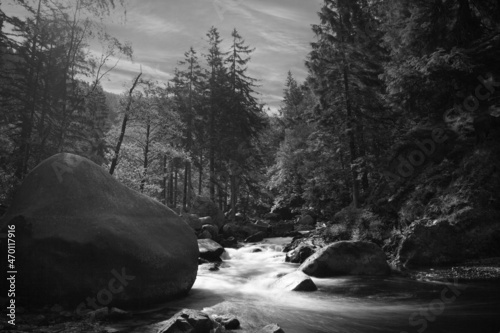 Fluss im Harz