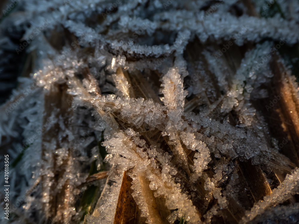Macro shot of autumn leaves covered with white early morning frost crystals in the end of autumn and early winter Macro shot of autumn leaves covered with white early morning frost crystals in the end of autumn and early winter
