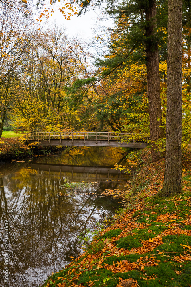 wooden bridge in autumn forest in nature area singraven