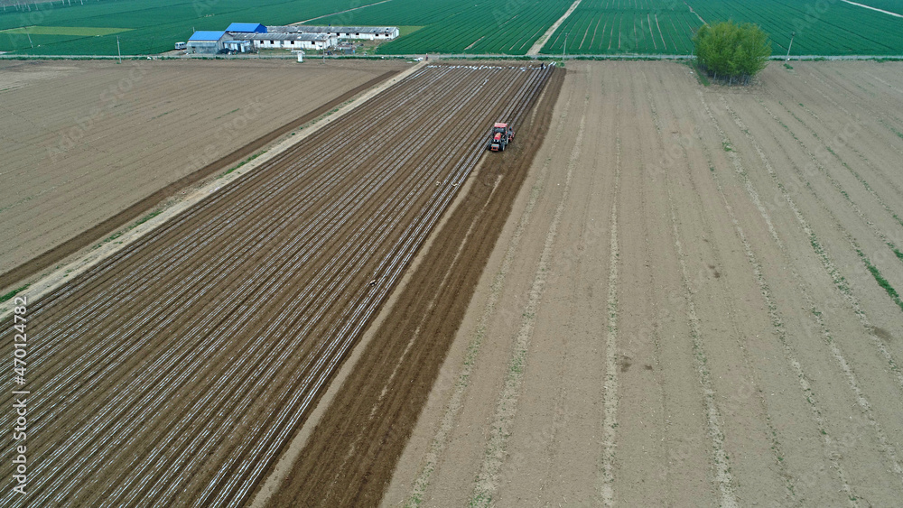 Obraz premium Farmers use planters to plant plastic coated peanuts on farms, North China