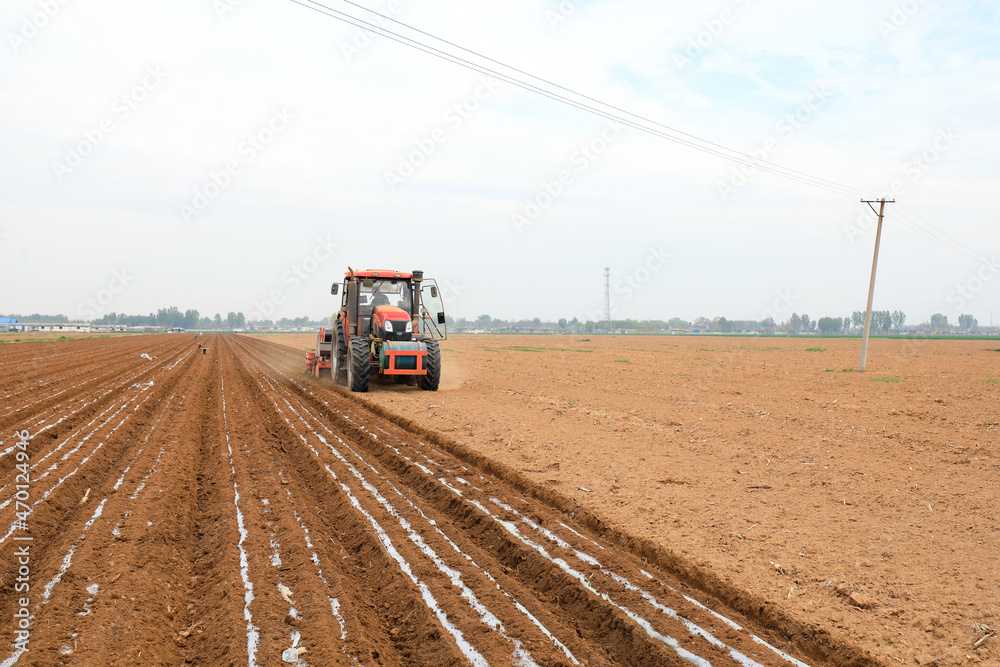 Fototapeta premium Farmers use planters to plant plastic coated peanuts on farms, North China