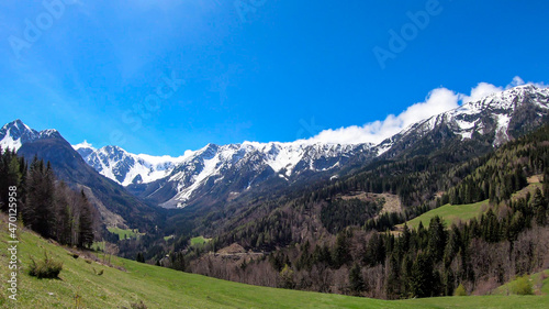 Fototapeta Naklejka Na Ścianę i Meble -  A panoramic view on Baeren Valley in Austrian Alps. The highest peaks in the chain are sonw-capped. Lush green pasture in front. A few trees on the slopes. Clear and sunny day. High mountain chains.
