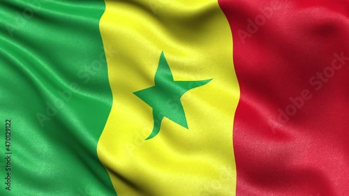 Senegal Flag Seamless Loop. 3D animation.