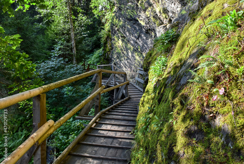 Raggaschlucht, Weg, Wald, Wanderweg, Ragga Schlucht, Schlucht, Klamm, Mölltal, Flattach, Nadelwald, Baum, Baumstamm, Bäume, Kärnten, Oberkärnten, Bach, Raggabach, Kreuzeck, Kreuzeckgruppe, eng, tief, 