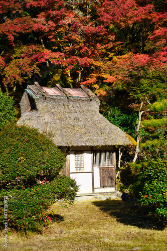 秋の香嵐渓