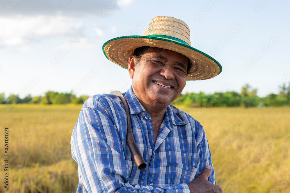 Happy smiling, Asian elderly farmer wearing a shirt and hat standing in the rice field.