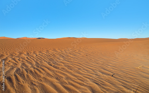 Orange sand dune with blue sky - Sossusvlei  Namib desert  Namibia  Southern Africa